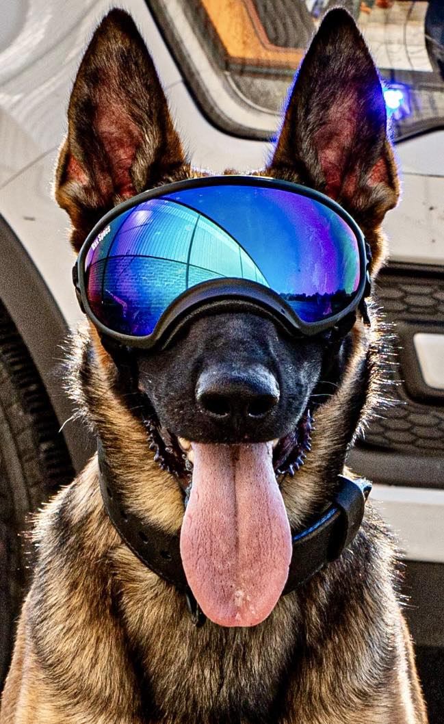 Operation K-911 Training